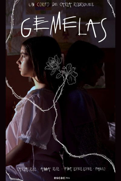 Poster do Filme Gemelas