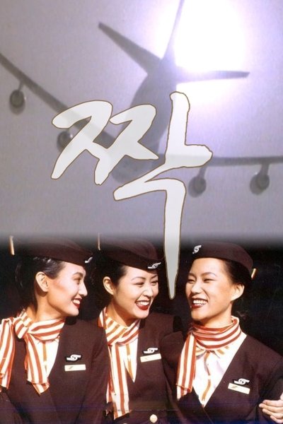 poster for 짝