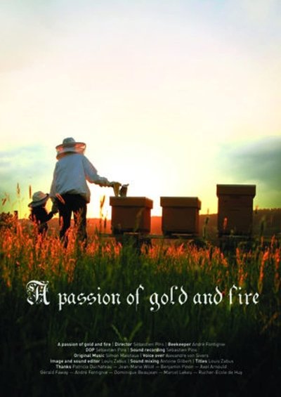 Poster do Filme Une passion d'or et de feu