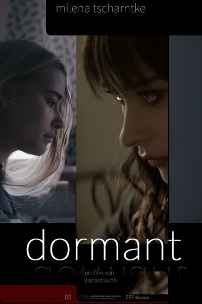 Poster do Filme Dormant