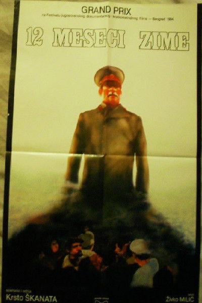 Poster do Filme 12 meseci zime