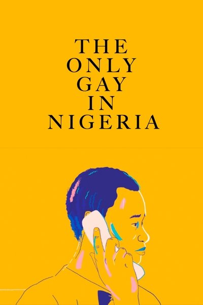 Poster do Filme The Only Gay in Nigeria