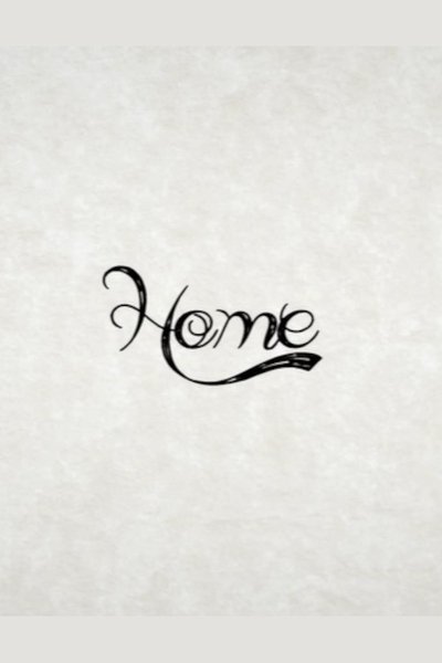 movie poster for Home