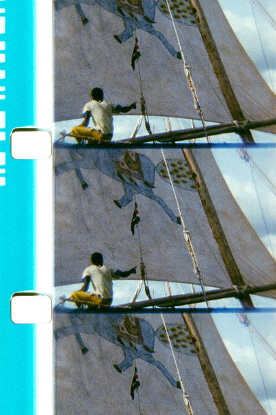 Poster do Filme The Horse of the Prophet