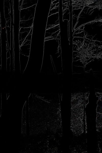 movie poster for The Heart of the Wood