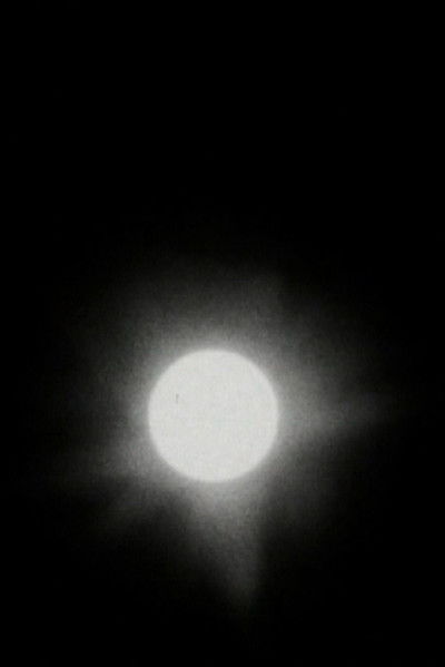 Poster do Filme The Transit of Venus