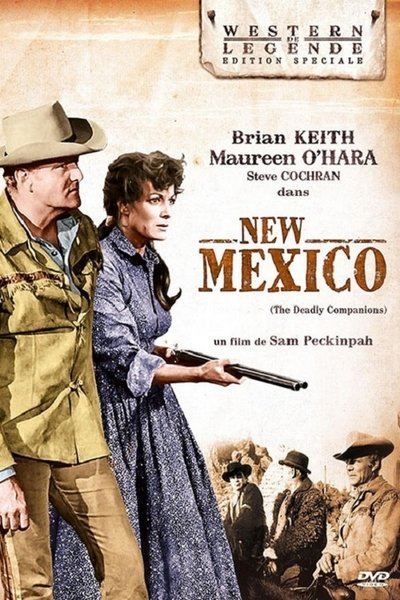 New Mexico poster New Mexico