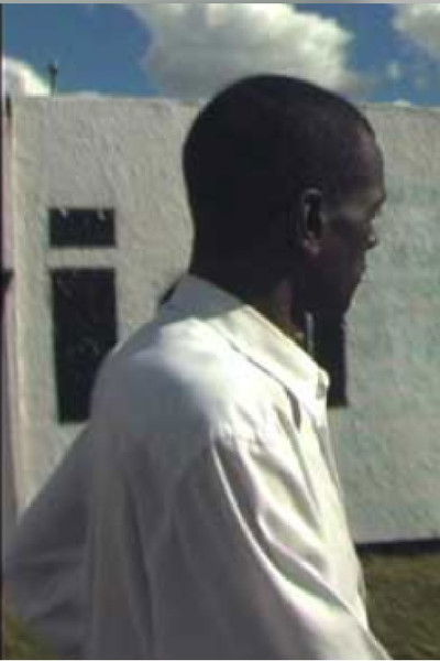 movie poster for The Man in the Tree