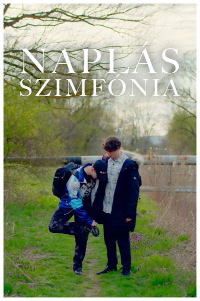 Poster do Filme Naplás Szimfónia