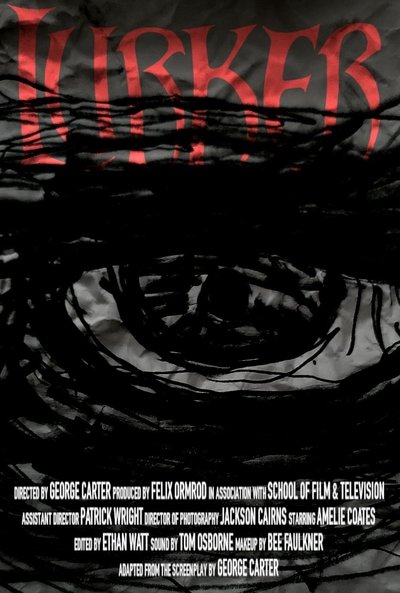 movie poster for Lurker