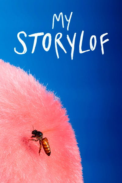 Poster do Filme My Storylof