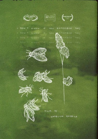 Poster do Filme I Don't Know If You Remember This