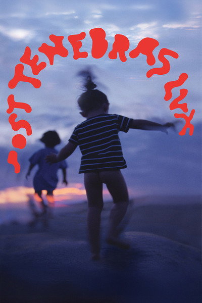 Poster do Filme Post Tenebras Lux