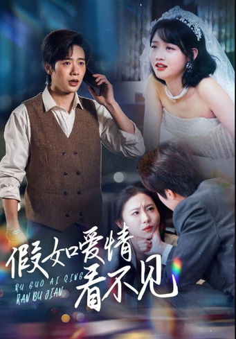 poster for 假如爱情看不见