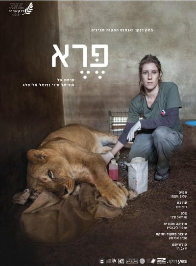 Watch - פרוע Movie Online Free Putlocker