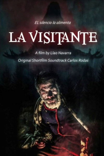 Poster do Filme La visitante