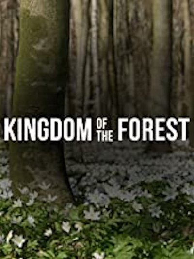 Watch - (2008) Kingdom of the Forest Movie Online