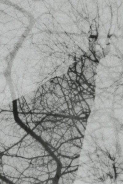 movie poster for Nocturne