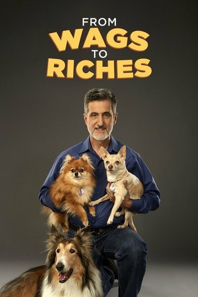 poster for From Wags to Riches With Bill Berloni