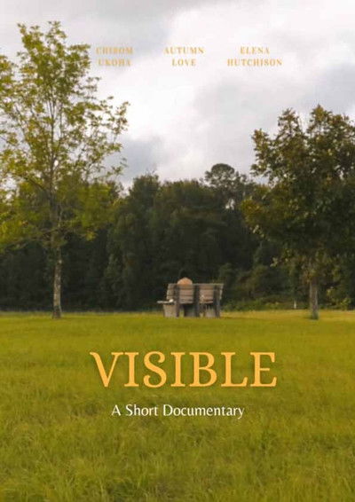 Poster do Filme Visible