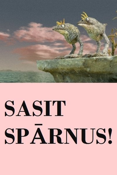 Poster do Filme Sasit spārnus!