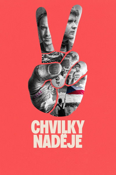 Poster do Filme Chvilky naděje