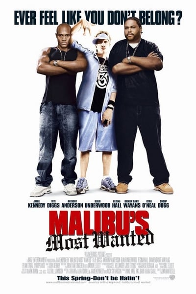 Rapimento a Malibù (2003)