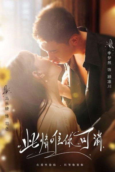 poster for 此情唯你可消