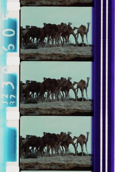 Poster do Filme Isy Boukir