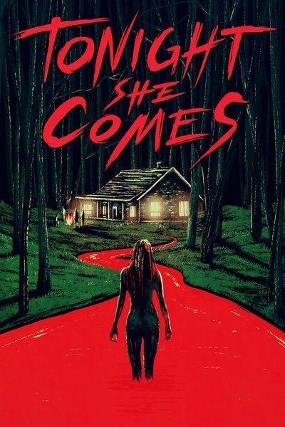 Poster for the movie Tonight She Comes