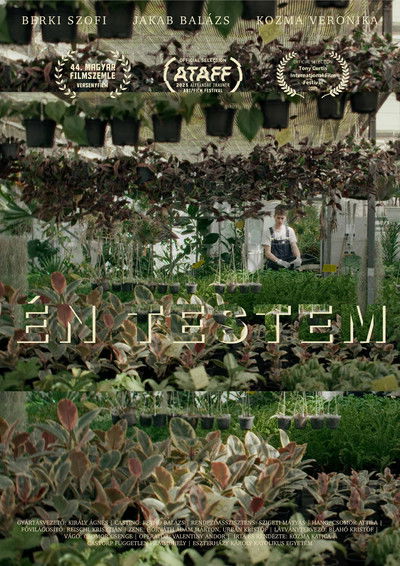 Poster do Filme Én testem