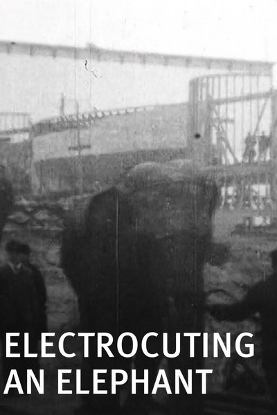 Electrocuting an Elephant poster Electrocuting an Elephant