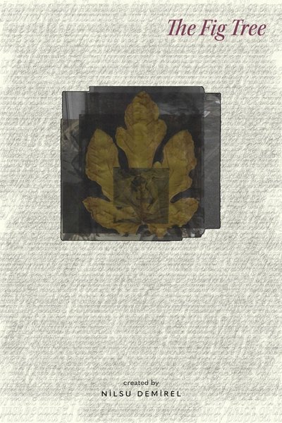 movie poster for The Fig Tree