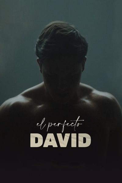 Poster do Filme O Perfeito David