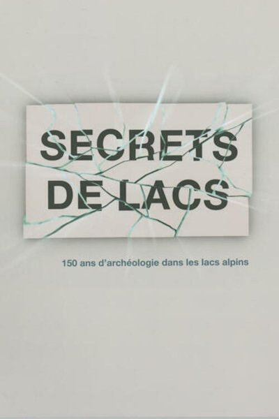 movie poster for Secrets de lac