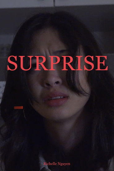 Poster do Filme Surprise