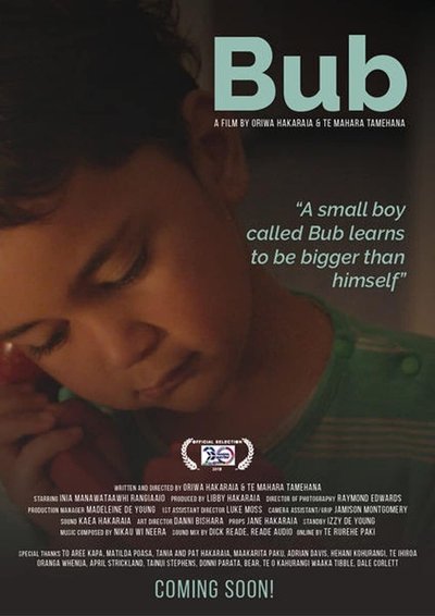 Poster do Filme Bub