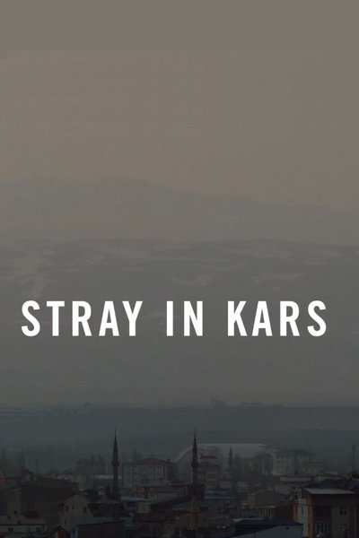 Poster do Filme Stray in Kars