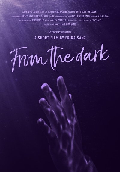 Poster do Filme From the Dark