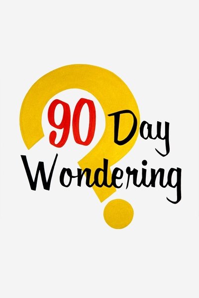 Poster for the movie 90 Day Wondering