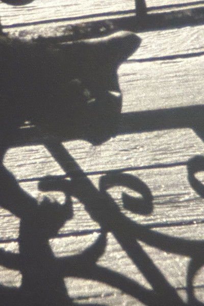 Poster do Filme Emma