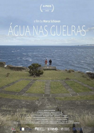 Poster do Filme Água nas guelras