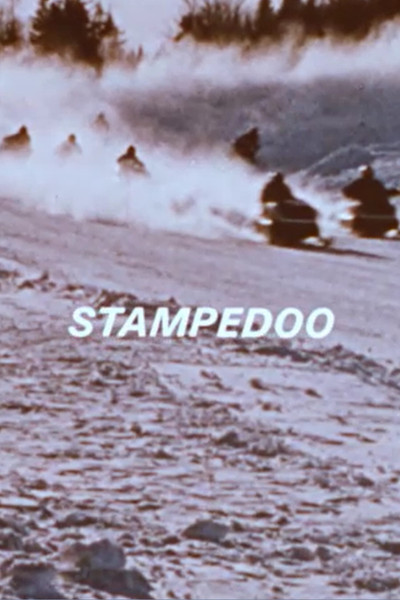 Poster do Filme Stampedoo