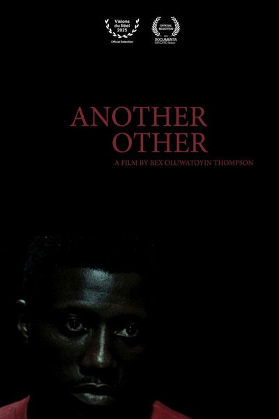 Poster do Filme Another Other