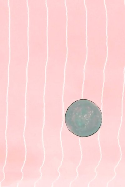 Poster do Filme Exquisite Moving Corpse