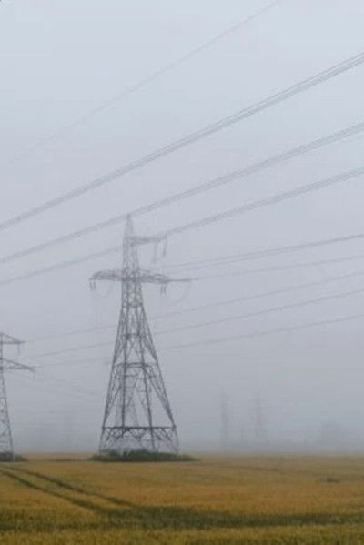 movie poster for Invasive Species