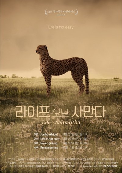 poster for Life of Samantha