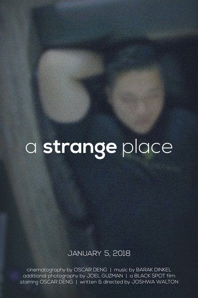Poster do Filme A Strange Place