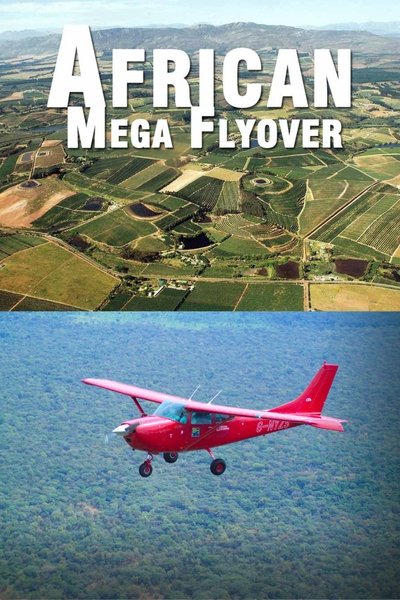 Poster do Filme African Megaflyover