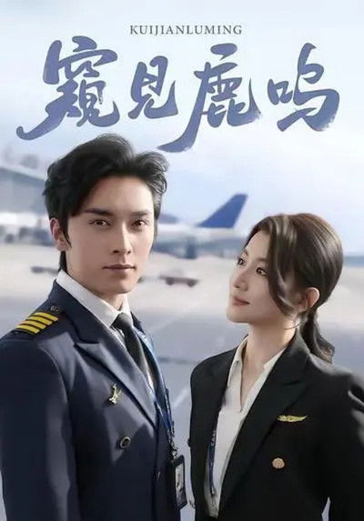 poster for 窥见鹿鸣